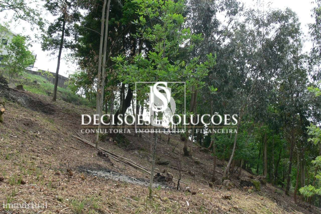 Terreno Não definido em Salamonde-7