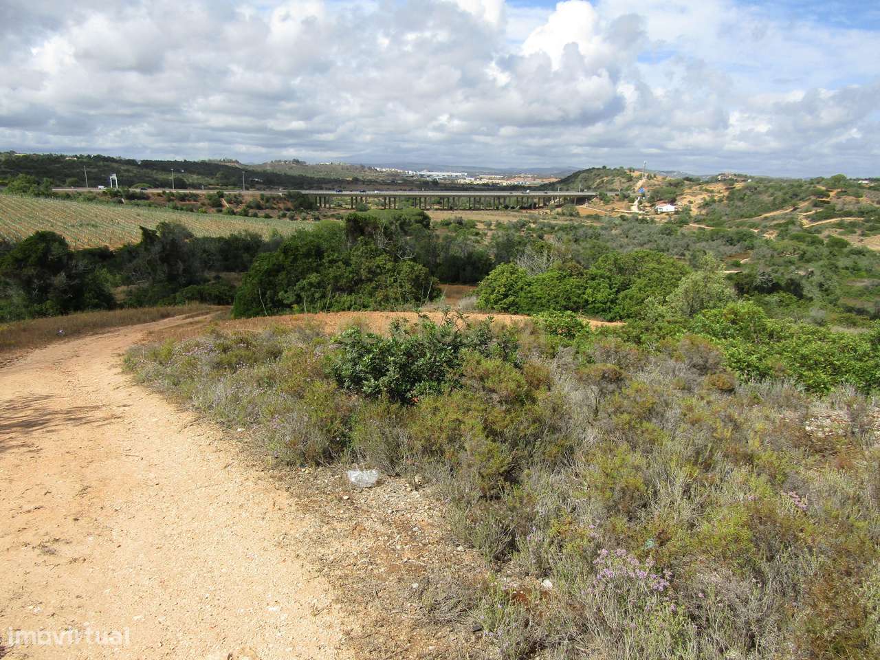 Terreno Misto com 15400m2 - Vales de Pêra - Grande imagem: 3/11