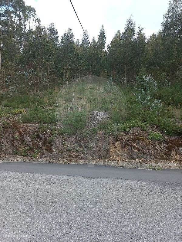 Terreno  para venda - Grande imagem: 4/12