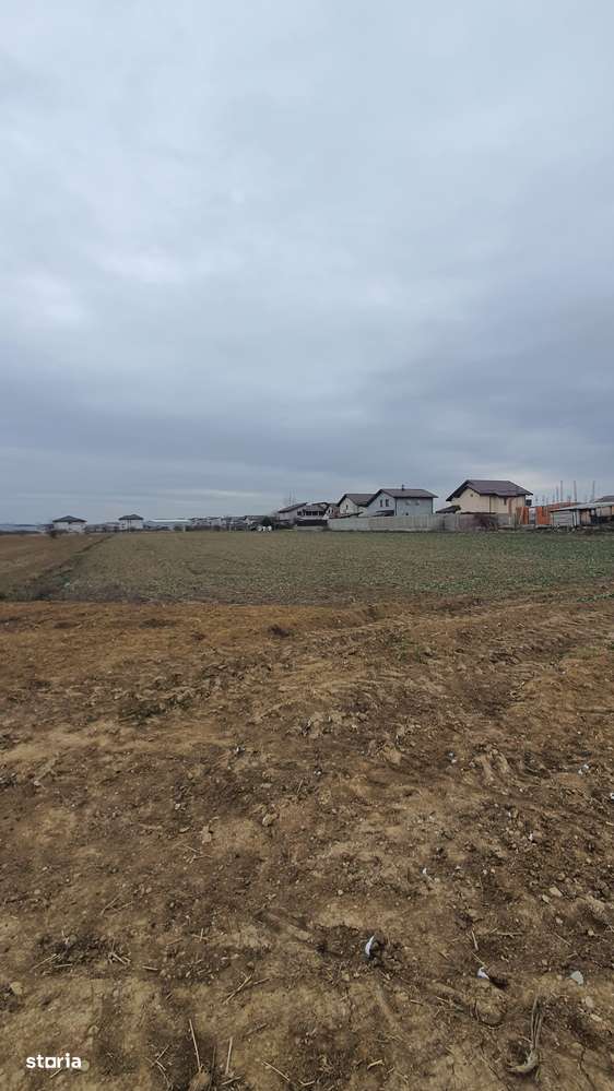 Oportunitate de investiție! Teren 3900 mp – Magurele, Ilfov - Imagine principală: 3/7