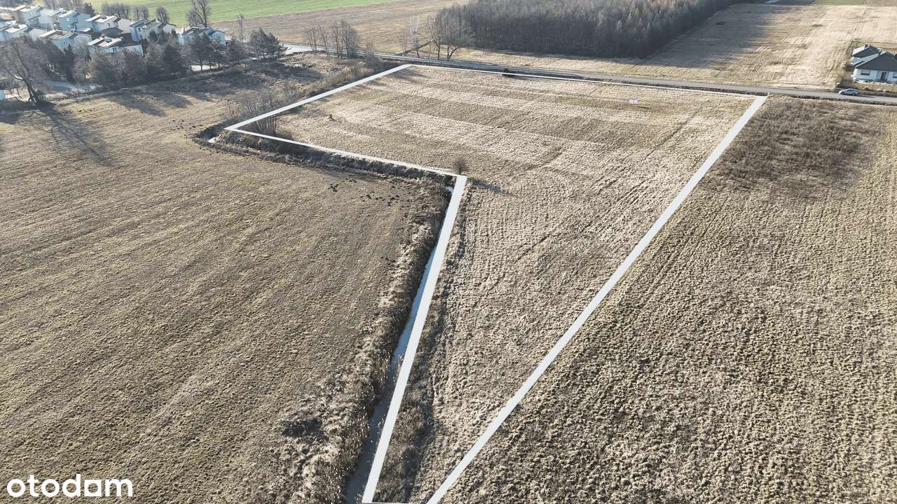 Duża działka budowlana z mediami – 1,39 ha, Opaka k. Lubaczowa - Pełny obrazek: 4/4