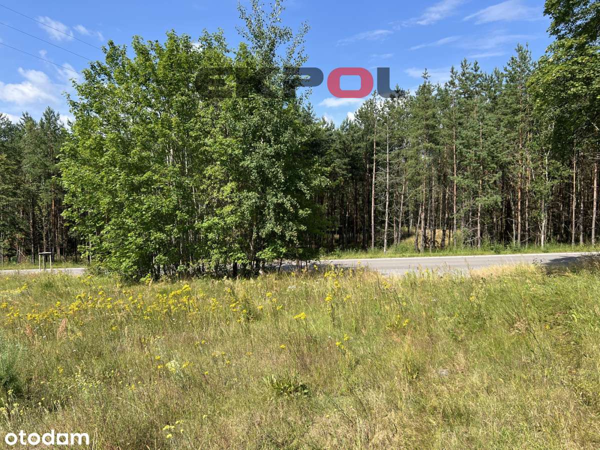 Piękna działka nieopodal czterech jezior Rekowo-9