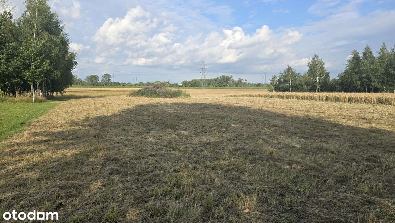 Działka budowlano-rolna 47,84 ara   Wola Mielecka-2