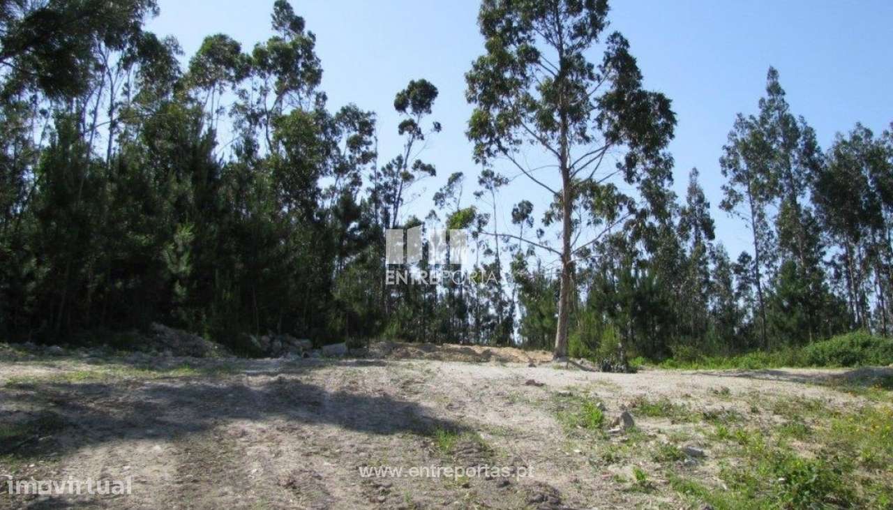 Venda de Terreno com 7800 m2, Bagunte, Vila do Conde - Grande imagem: 3/5
