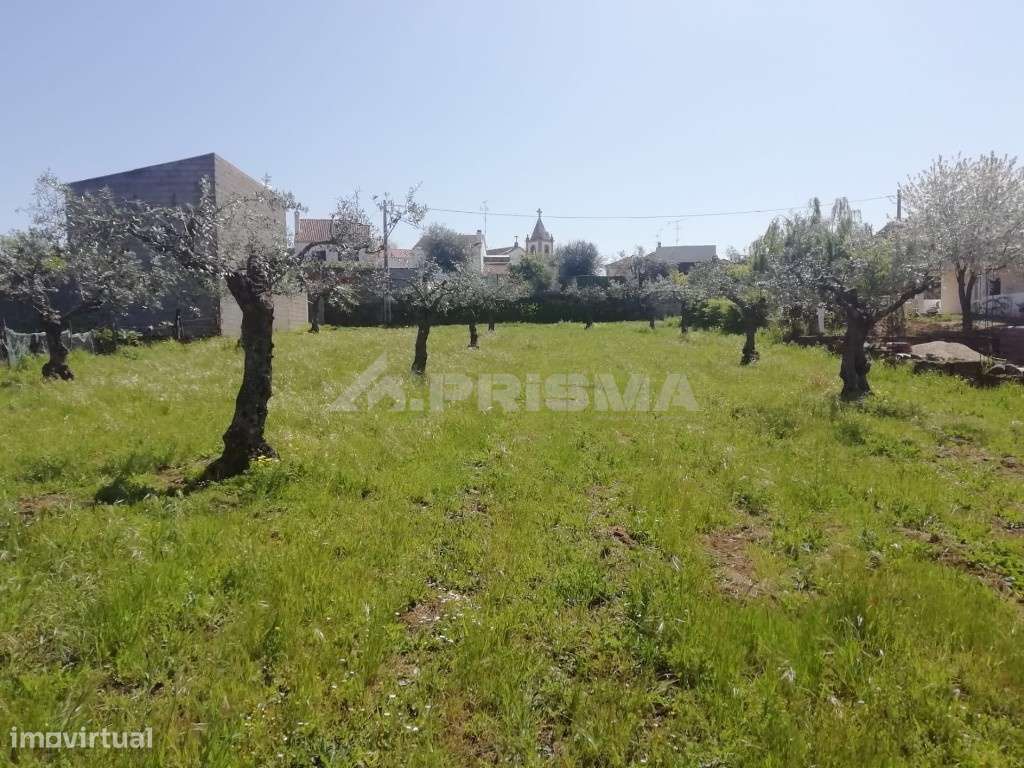 Terreno rústico para venda - Grande imagem: 4/5