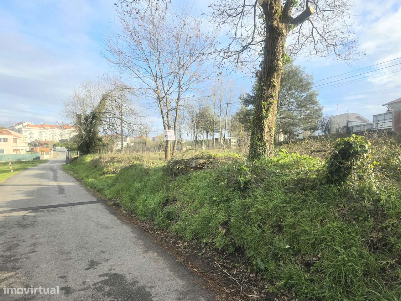 Terreno para construção  1 ou 2 moradias em Oiã Oliveira do Bairro - Grande imagem: 3/7