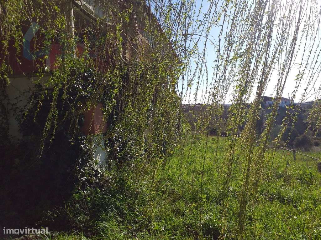 Moradia T6 em Óbidos!-47