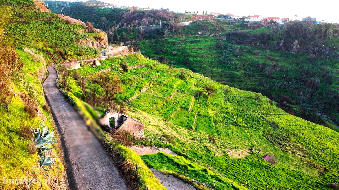 Terreno para Construção na Ponta do Pargo – 8.000 m² em Vale Privilegi - Grande imagem: 5/10