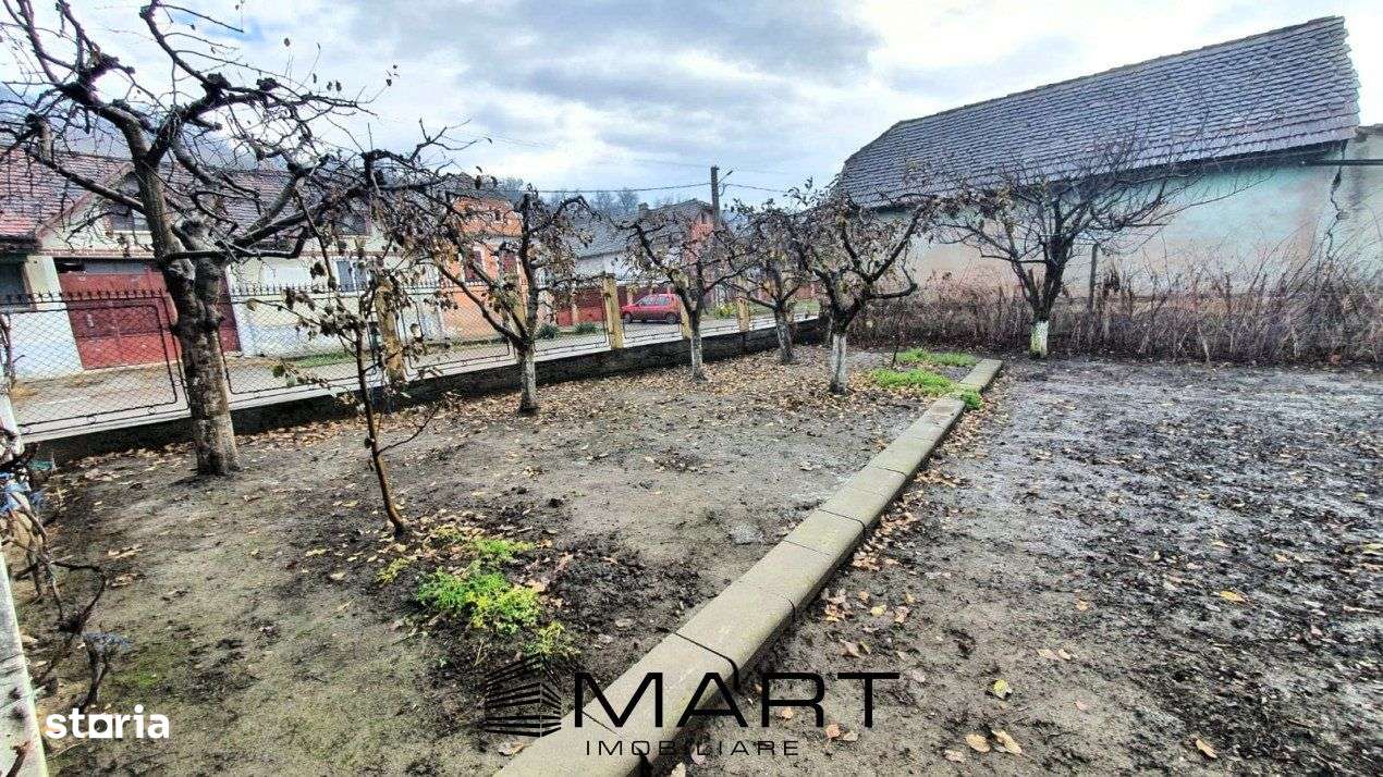 Cladire mixta 250 mp teren 738 in Smig - Imagine principală: 5/17