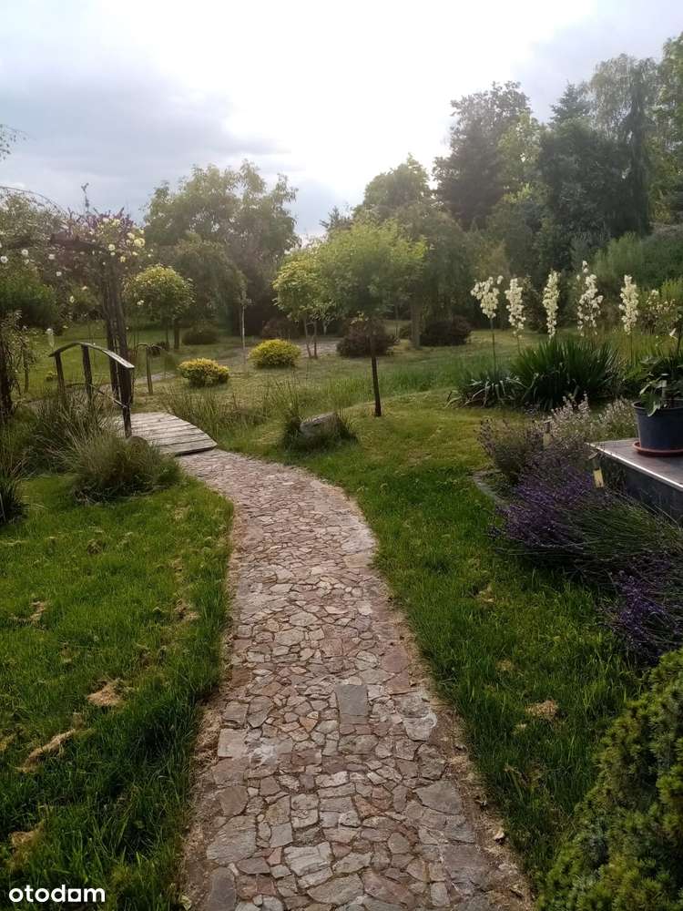 Dom w Książenicach -Grodzisk Mazowiecki . - Pełny obrazek: 4/19