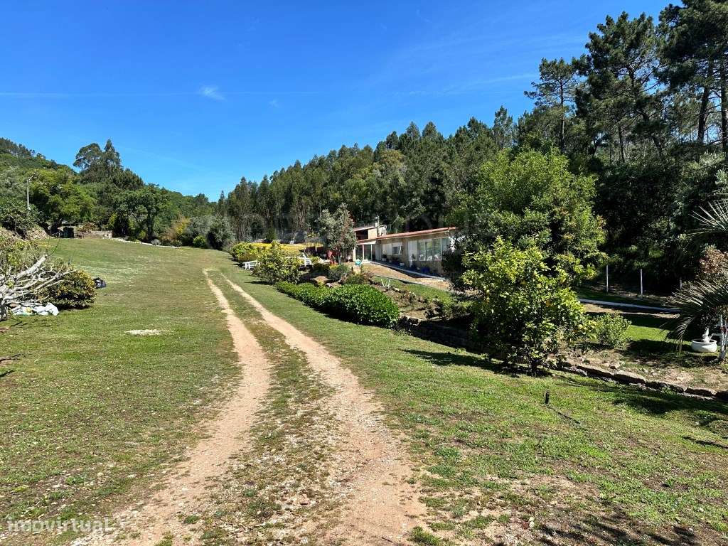 Quinta - Quintinha - Moradia-9