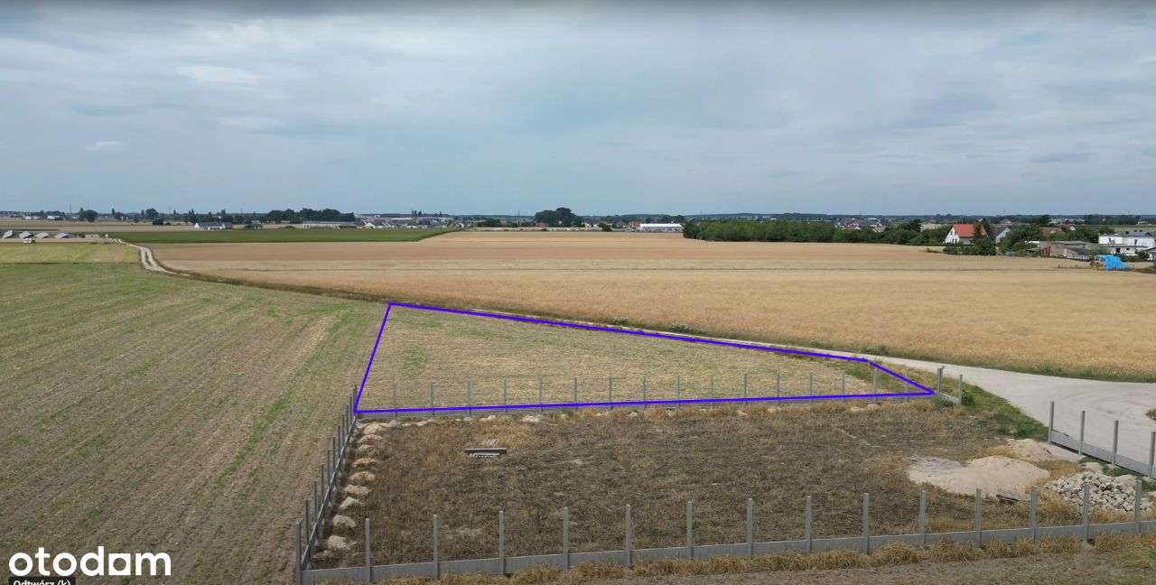 Nowa cena! Działka granica Nowe Oborzyska/Betkowo - Pełny obrazek: 5/5