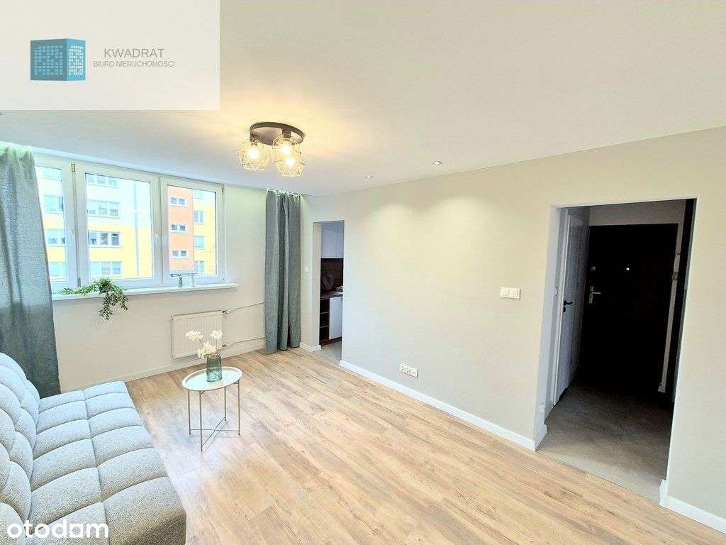 3 pokoje do wprowadzenia Dąbrowa - Pełny obrazek: 1/11