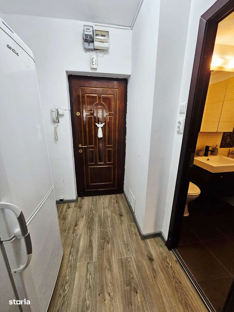 garsoniera iancului-5