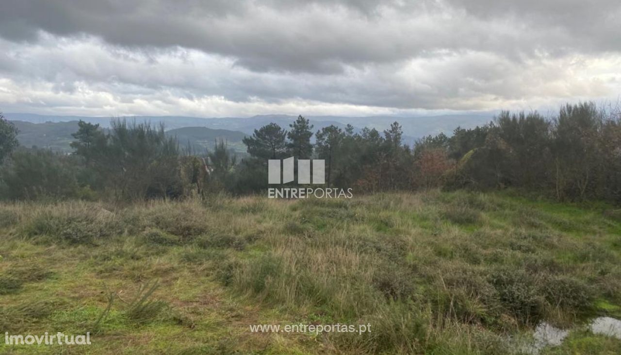 Venda Terreno, Gôve, Baião