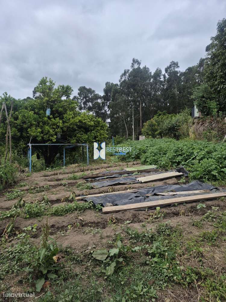 MORADIA INDEPENDENTE,REABILITAÇÃO, TERRENO 2.900M2, TELHADO,15MIN.FA-27