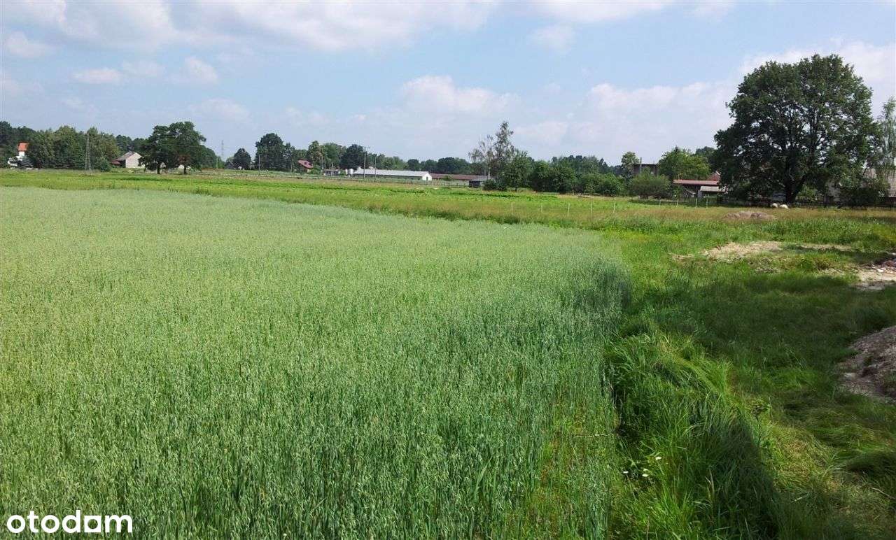 Atrakcyjna działka - Pełny obrazek: 4/12