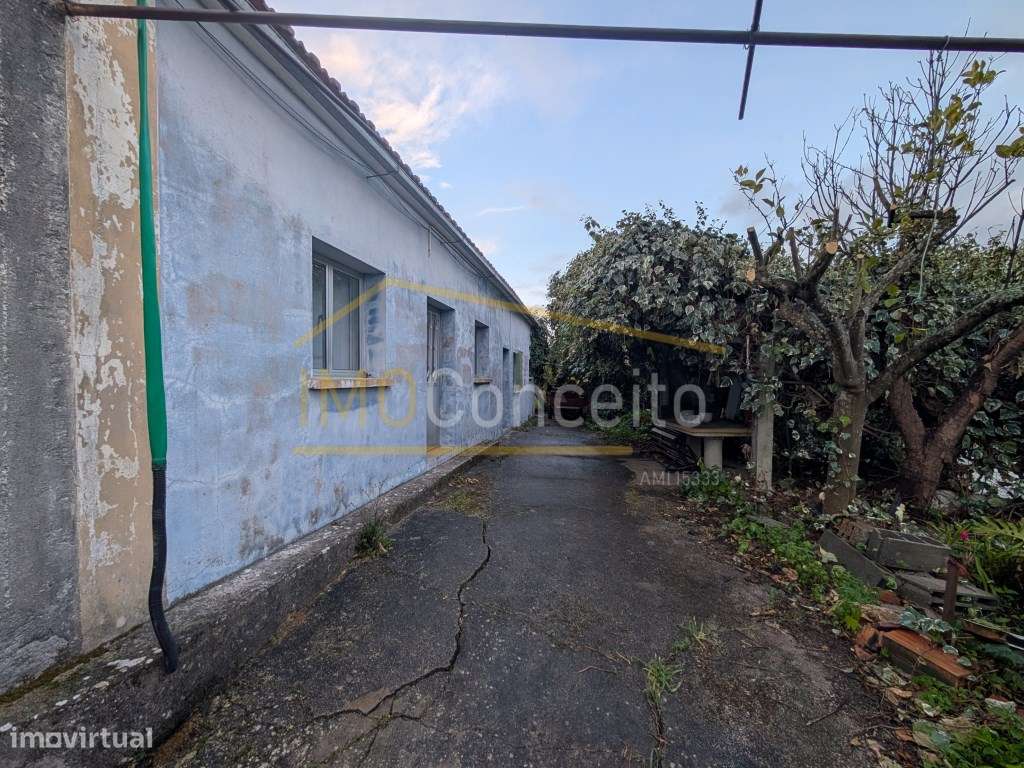 Casa tradicional para renovar - Rexaldia - TORRES NOVAS-3