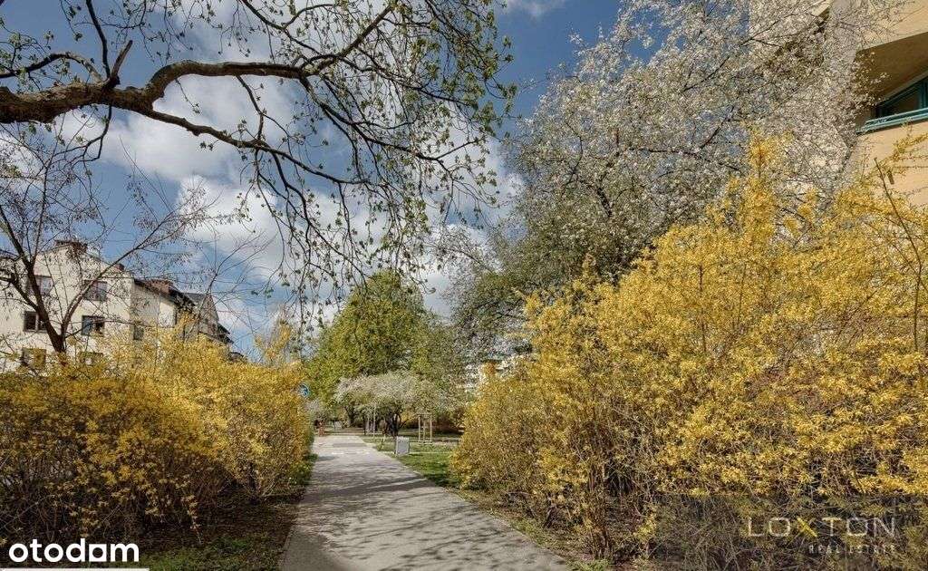 Ursynów Dla Rodziny-1