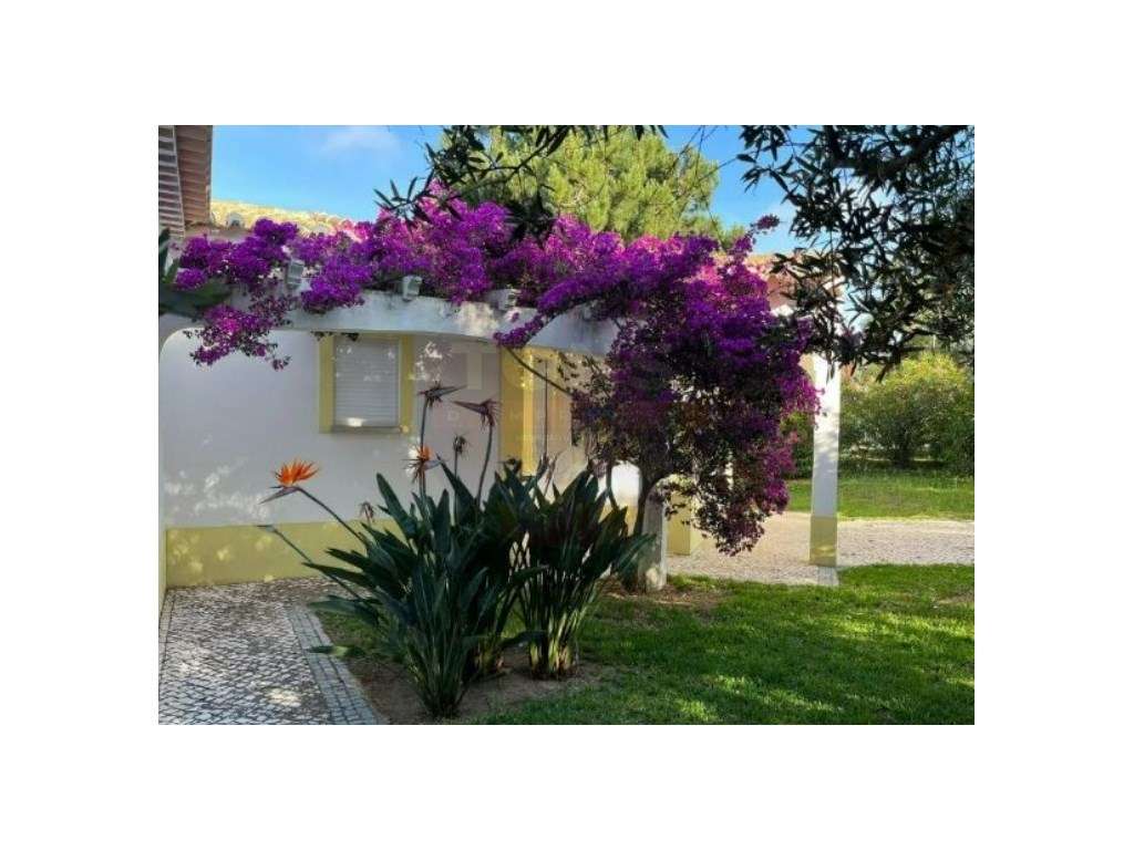 Moradia Contemporânea na Costa Vicentina - Privacidade, Qualidade e...-30