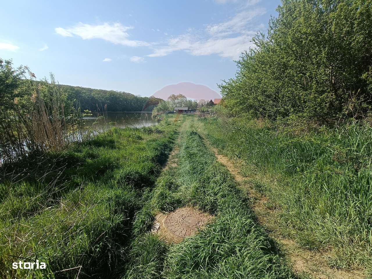 Vanzare Teren Constructii Langa Lac și Padure | Branesti | Ocazie! - Imagine principală: 4/13