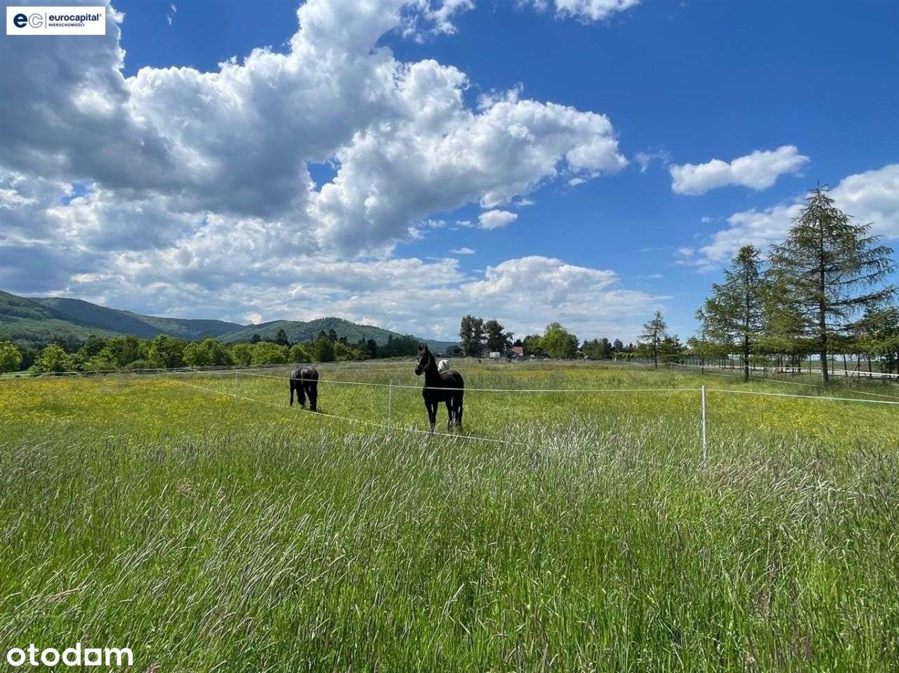 Widokowa Działka Rolna W Prestiżowej Dzielnicy - Pełny obrazek: 4/20