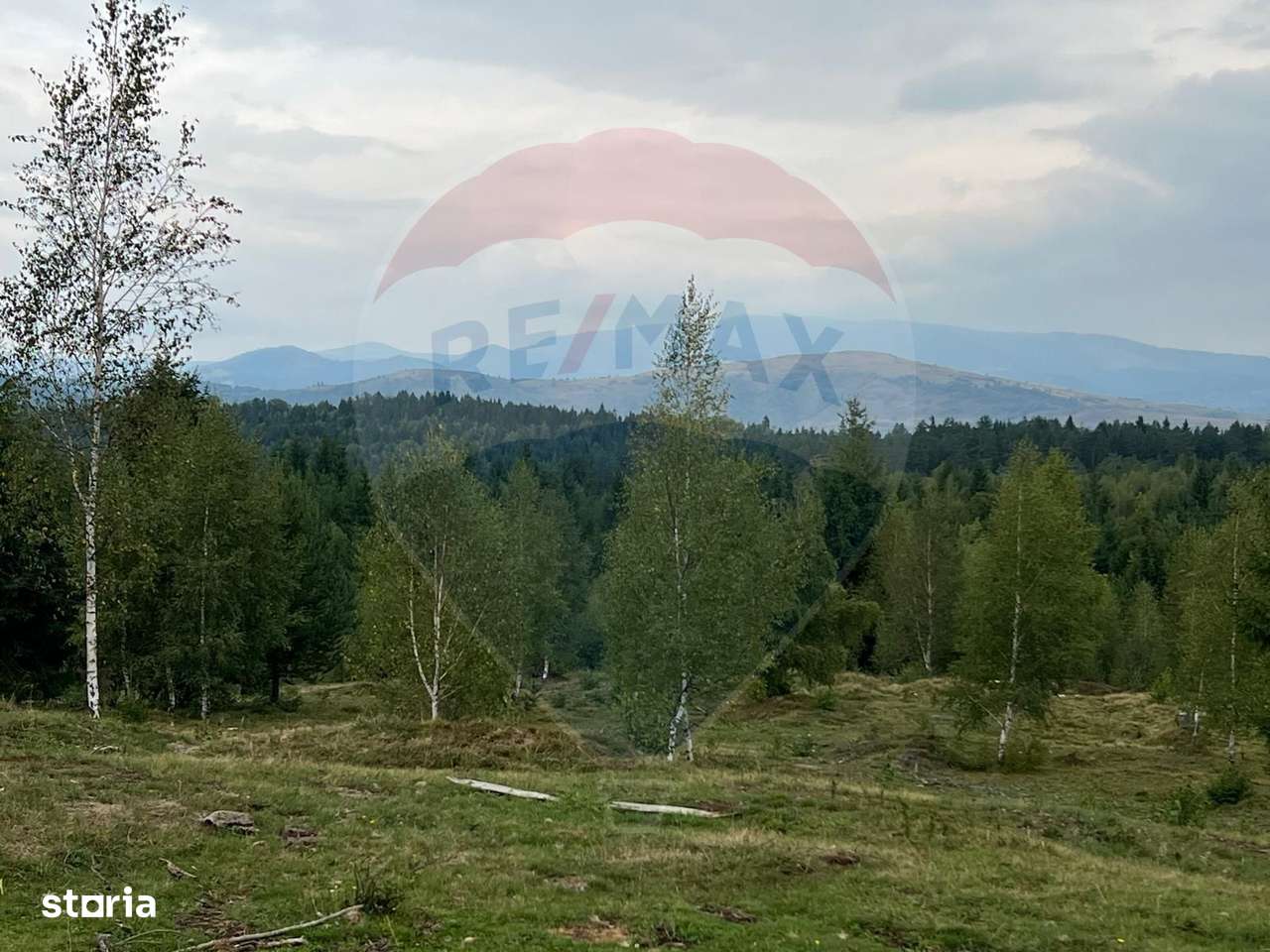 Teren extravilan parcelabil Călățele Pădure, zona Dealu Negru - Imagine principală: 4/19