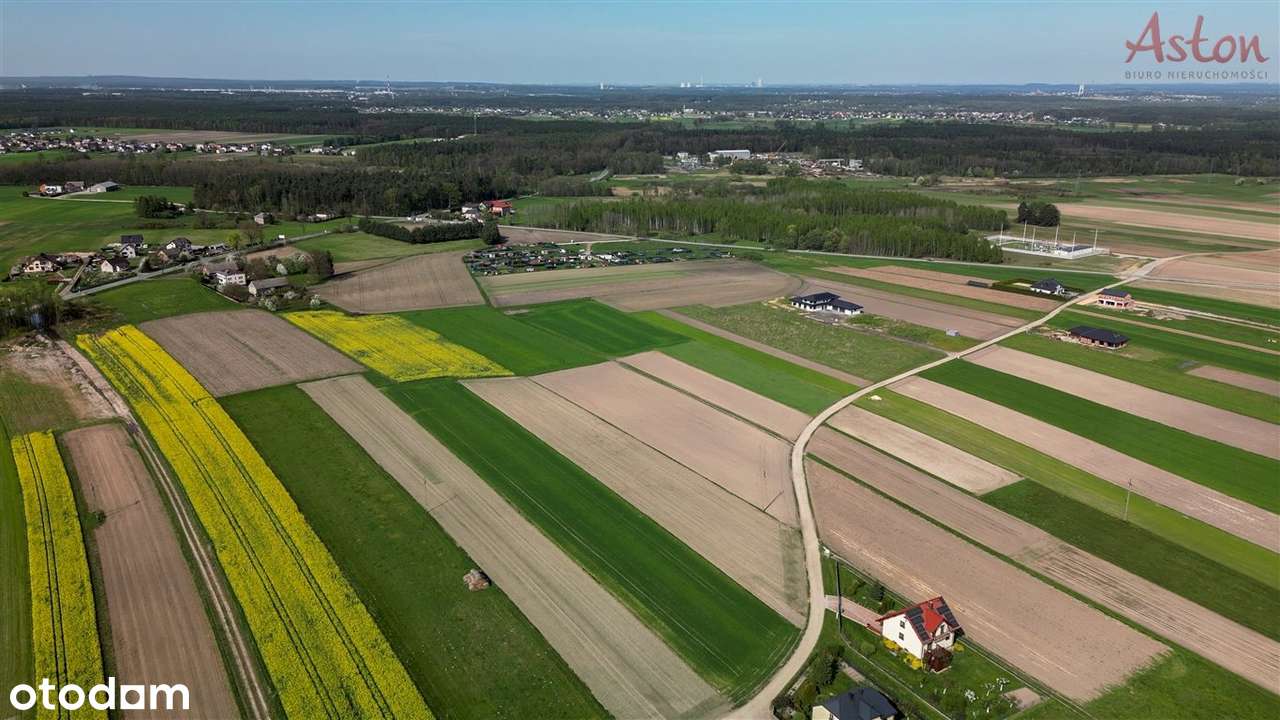 Duża ładna działka, Miedzyrzecze k/ Woli - Pełny obrazek: 5/6