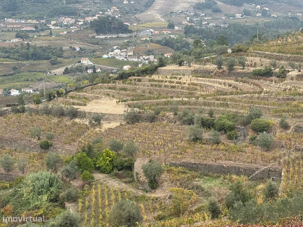Quinta do Prado em Moura Morta, Régua-35