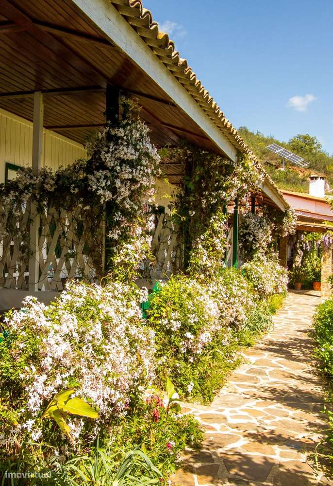 Quinta 5.3 ha, Santa Clara-a-Velha, Odemira - Grande imagem: 5/19