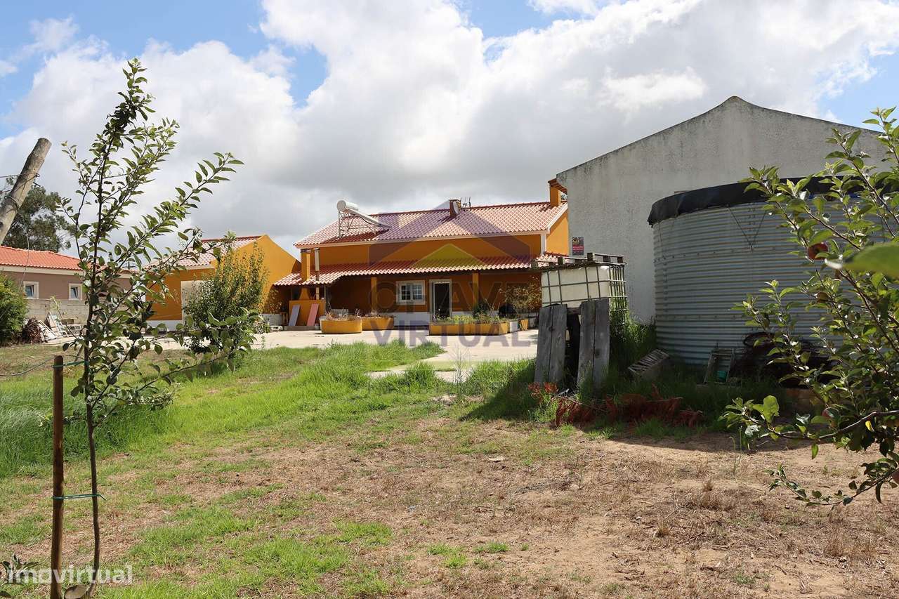 Magnífica Quinta com 19.107 m2 Carvalhal - Bombarral-58