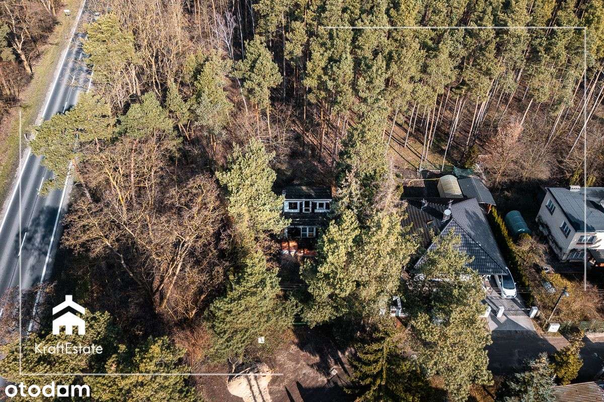 Działka w Lesie z Rozpoczętą Budową – Cerekwica - Pełny obrazek: 4/15