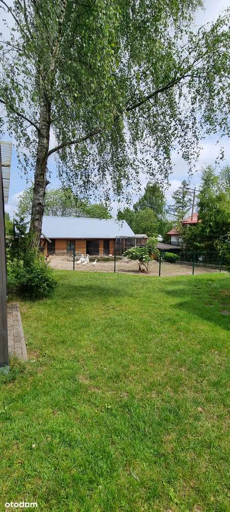 Atrakcyjny teren pod 15 bliźniaków wkomponowanych wśród drzew-10