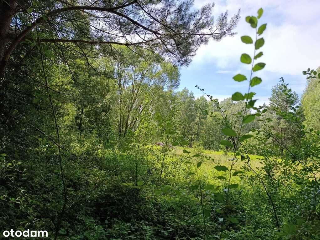 Działka w Doliwiu-1