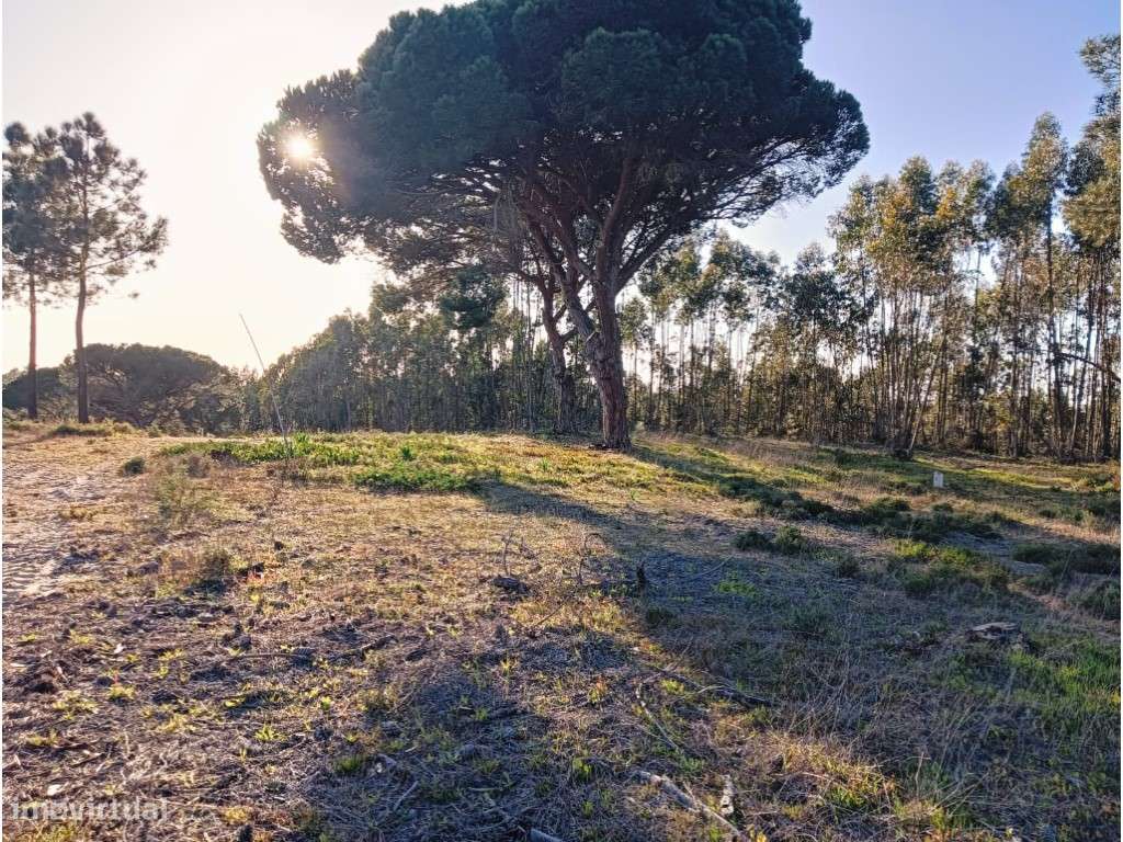 Terreno Rústico Aiana de Cima - Grande imagem: 2/25