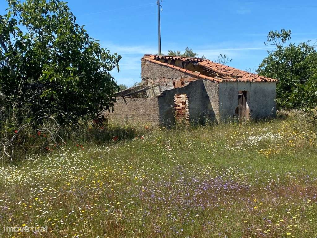 Quinta em Vila Nova de São Bento, com uma ruina para ser recuperada... - Grande imagem: 4/25
