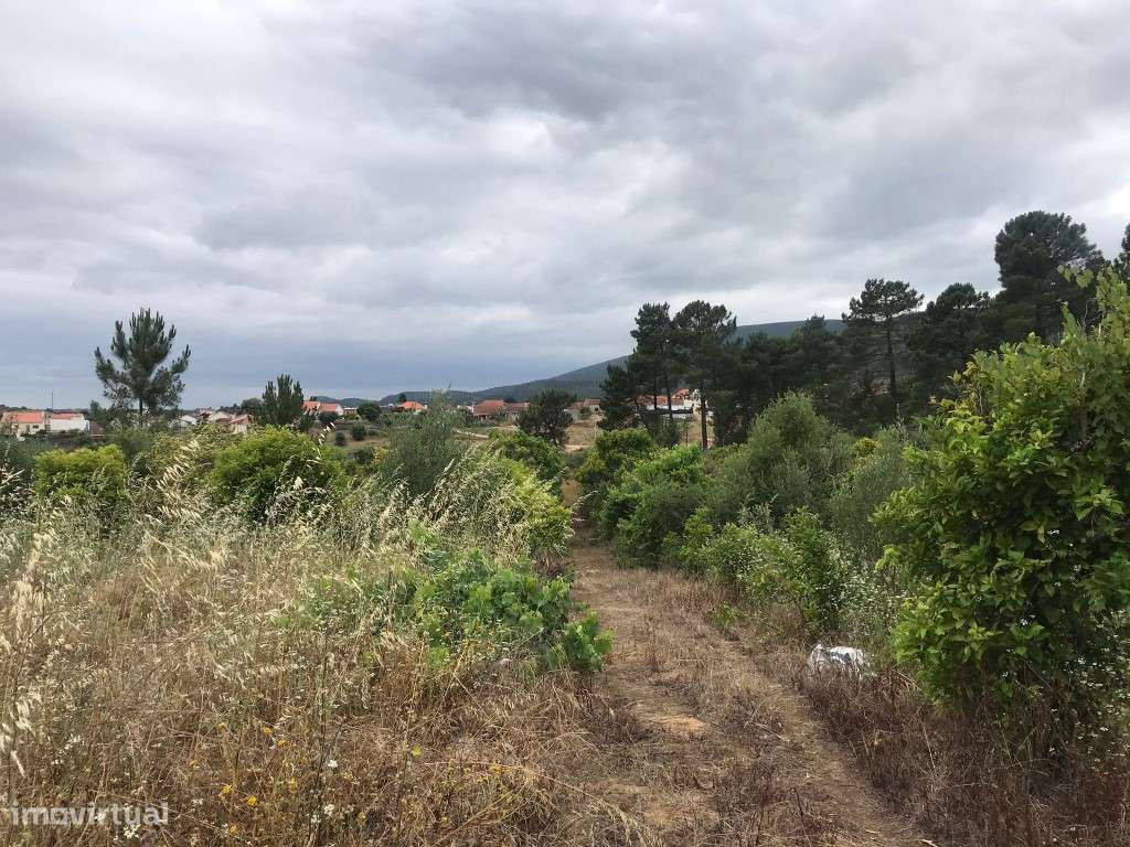 Quinta com casinha na Chancelaria, Torres Novas-17