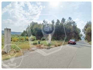 TERRENO - CAMPIA - VISEU - Grande imagem: 5/17