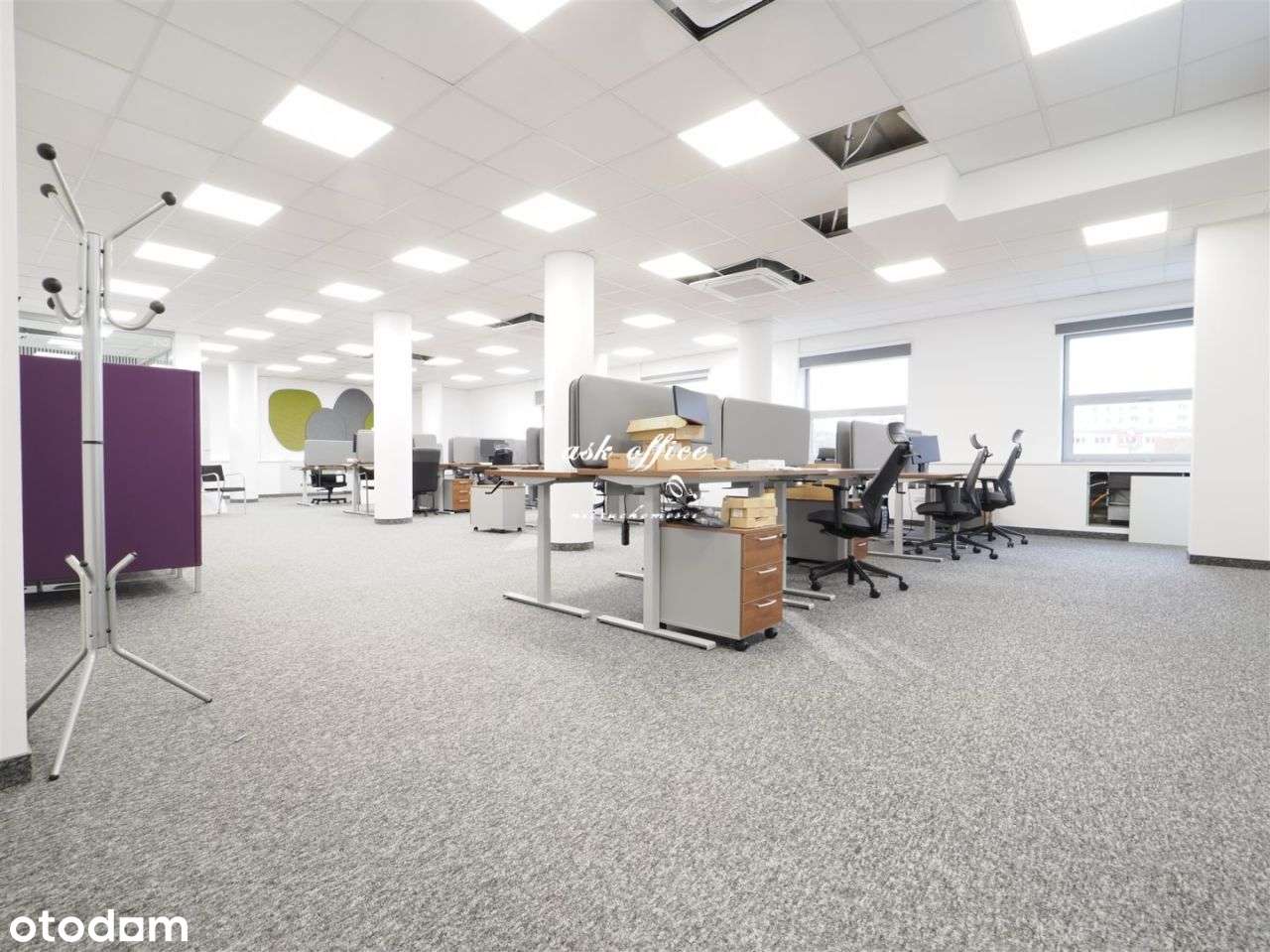 Lokal użytkowy, 174 m², Wrocław
