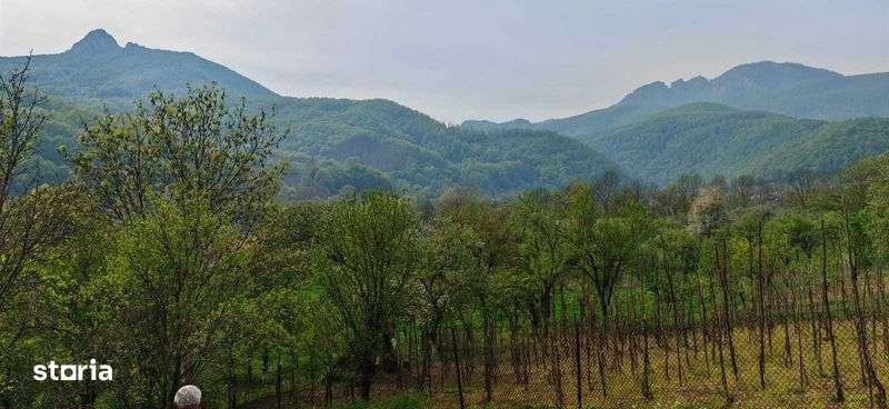 Casa si teren intravilan 3426mp la Poiana Galdei - Imagine principală: 4/7