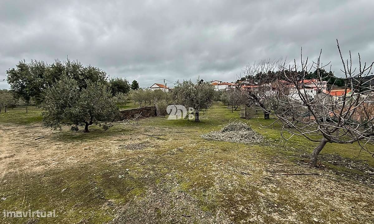 Terreno 5860m² - Pinheiros-8