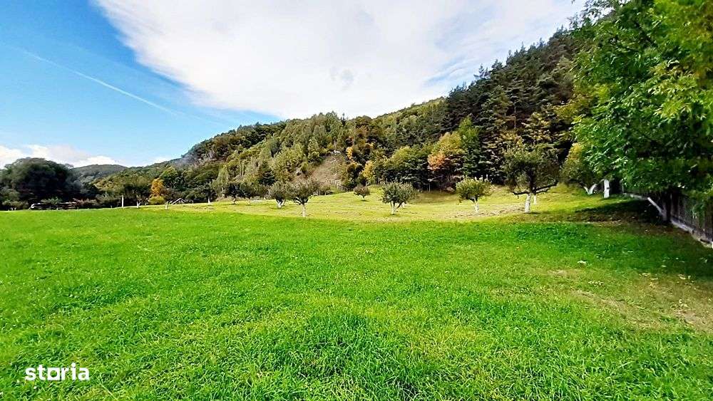 Teren superb de 16240mp in Bran la intrare in Moeciu de Jos - Imagine principală: 5/20