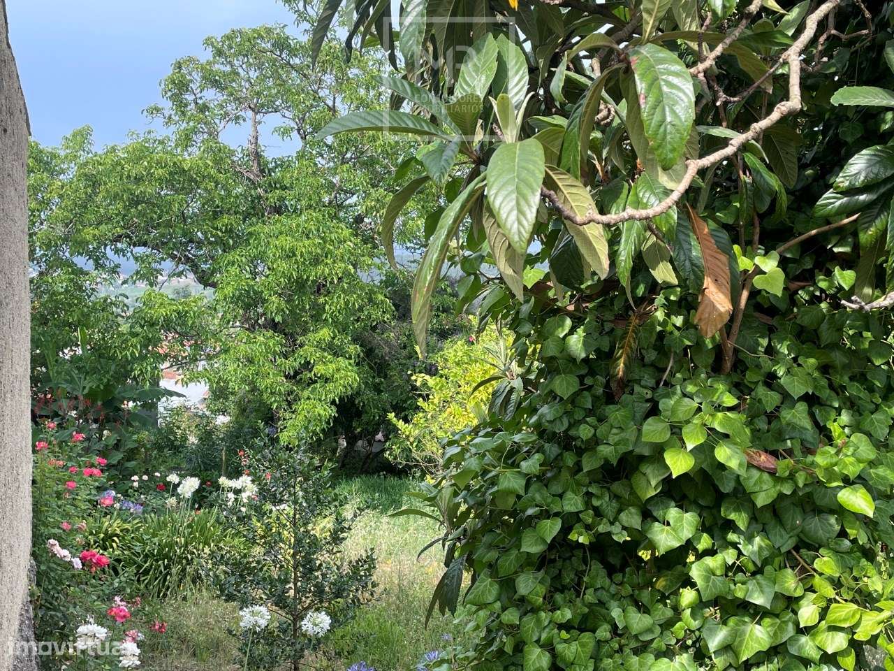 Terreno  Venda em Moita,Anadia - Grande imagem: 4/4