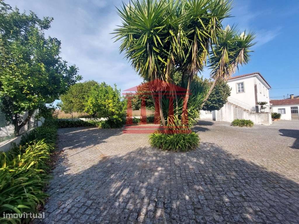 QUINTINHA COM CASA E ANEXOS - AREIAS - BARCELOS-8