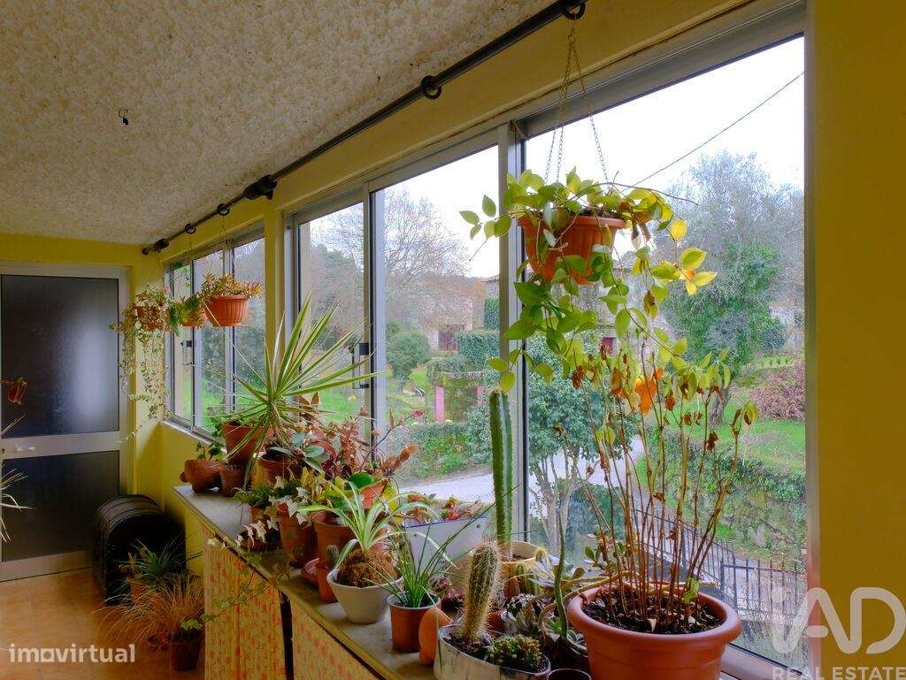 Moradia T6 em São Pedro do Sul, Várzea e Baiões de 298 m2 - Grande imagem: 2/22