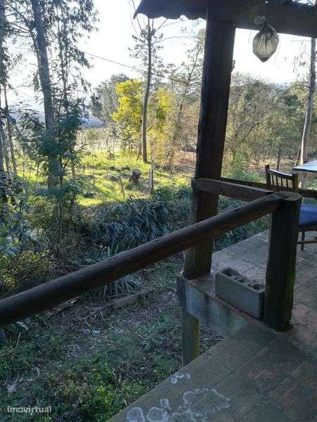 Viseu Casa em terreno rústico vilar seco, nelas. Viseu - Grande imagem: 4/12