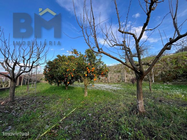 Moradia T2 Venda em Salgueiro do Campo,Castelo Branco-23