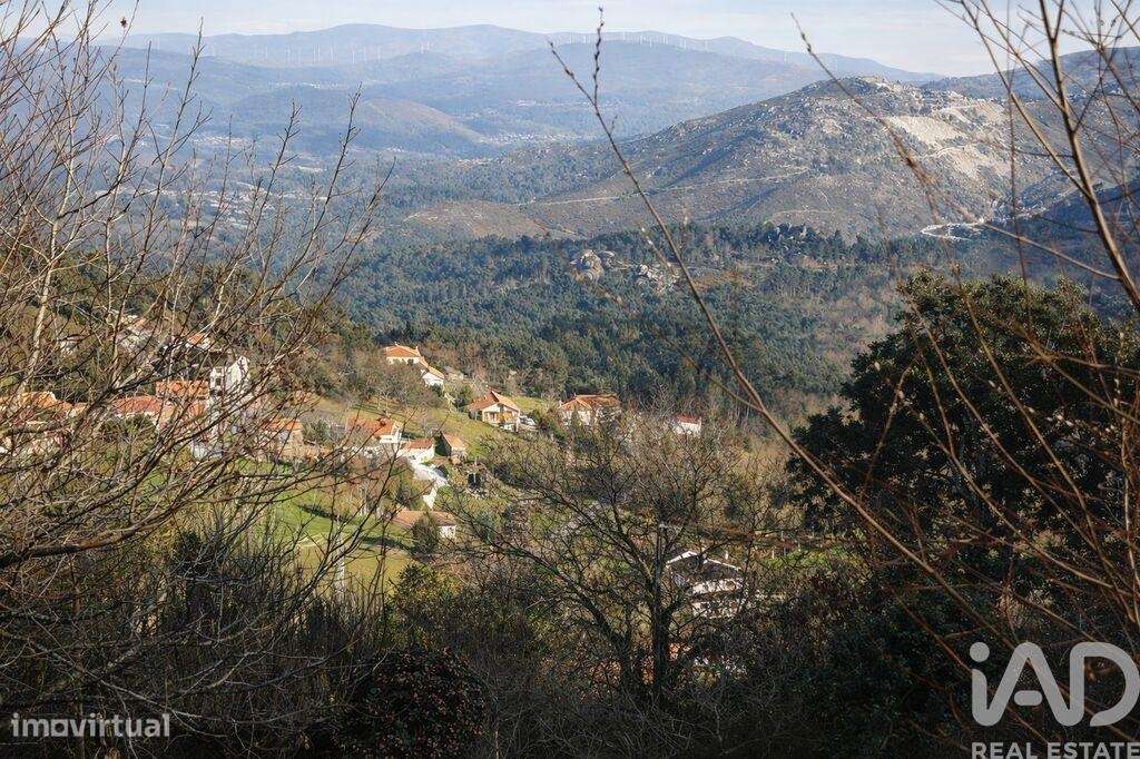 Terreno para construção em Gondomil e Sanfins - Grande imagem: 4/14