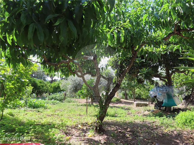 Quinta  para venda-33
