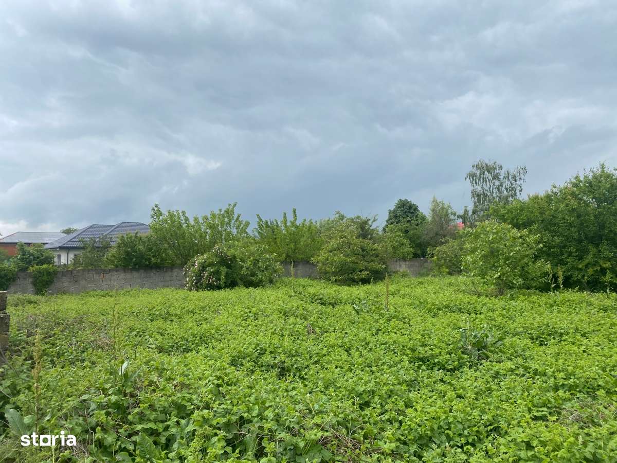 Islaz - Branesti - teren 1374mp - canalizare - gaze - curent - asfalt-3